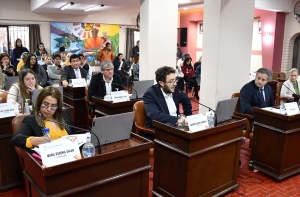 G&eacute;nero, aniversarios y hasta "Ley Bases" en la sesi&oacute;n parlamentaria capitalina