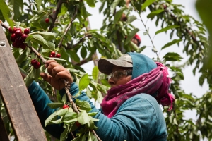 RENATRE lanza programa para mejorar el v&iacute;nculo entre empresas y trabajadores rurales