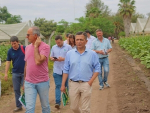 Celebrar&aacute;n el D&iacute;a Nacional del Agricultor en Perico