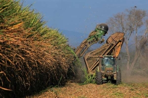 Destacaron la eliminaci&oacute;n de las retenciones al az&uacute;car