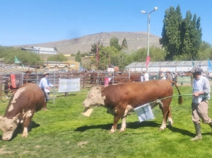 "Vuelven a atacar al sector que sostiene el país"
