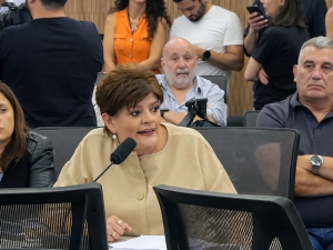 Ley de glaciares: audiencia p&uacute;blica para garantizar una pluralidad de voces