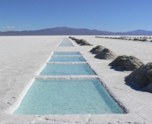 La petrolera argentina Pluspetrol compr&oacute; una firma canadiense productora de litio