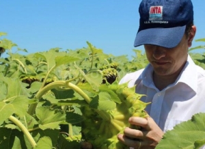 Convocatoria para la cobertura de 128 puestos profesionales de distintas especialidades