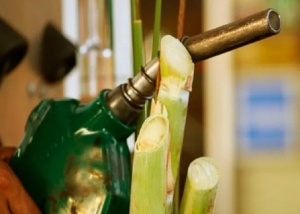 Aumentan el precio del bioetanol de ca&ntilde;a de az&uacute;car un 19,40%