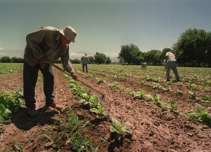 Trabajo rural: &ldquo;Consideramos prioritaria la intensificaci&oacute;n de los operativos de vacunaci&oacute;n&rdquo;