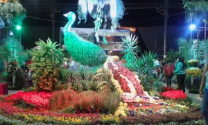 Se viene la Fiesta Provincial de Floricultura