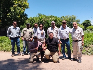 Perros detectores de HLB demostraron su potencial en plantaci&oacute;n comercial