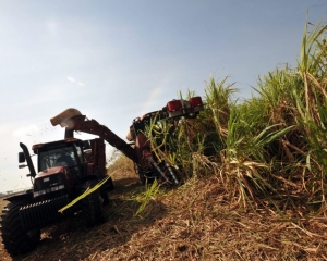 Cr&eacute;ditos y corte de bioetanol: las urgencias de ca&ntilde;eros e industriales