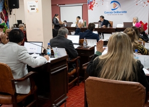 Avanzan en la creaci&oacute;n de la bandera oficial de San Salvador de Jujuy