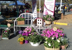 "Jujuy Florece": se vienen 3 d&iacute;as de exposici&oacute;n y venta