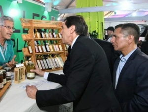 Los Valles Templados muestran su potencial productivo e industrial en la Expojuy