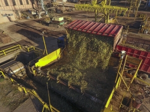 Zafra azucarera: Ledesma va por la obtenci&oacute;n de 291.000 toneladas de az&uacute;car