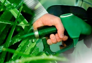 Legisladores de Jujuy y la regi&oacute;n pidieron a Naci&oacute;n cambios en biocombustibles