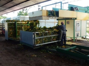 Avanza plan oficial para aliviar costos y mejorar servicios energ&eacute;ticos