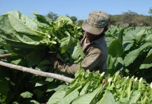 &ldquo;Hay que buscar la manera que el productor no sea siempre la variable de ajuste&rdquo;