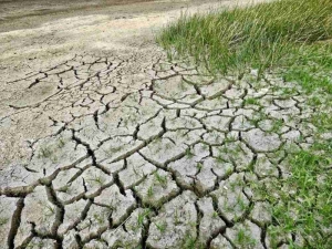 Cambio clim&aacute;tico: fuerte trabajo para mitigar la emergencia