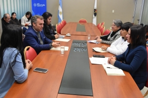 Analizan proyecto de ley para establecer guardias veterinarias obligatorias