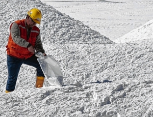 Positivo balance de Seminario web minero