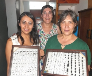 EXAR fortalece su compromiso ambiental con estudio de fauna de artr&oacute;podos de la Puna y su divulgaci&oacute;n