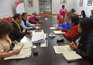 La Comisi&oacute;n de Salud avanza con la adhesi&oacute;n a la Ley nacional de Oncopediatr&iacute;a