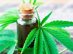 Se promulg&oacute; la Ley de Cannabis y C&aacute;&ntilde;amo para uso industrial