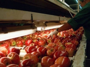 Frutas frescas con exportaci&oacute;n suspendida: &ldquo;es una luz amarilla que nos pone Brasil&rdquo;