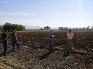 Apuesta a muestras para la recuperaci&oacute;n de suelos tabacaleros