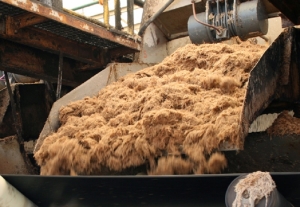 Azucareros con los ojos en el Congreso y de cara a un nuevo a&ntilde;o "de restricciones"