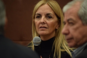 Econom&iacute;a: la Constituci&oacute;n &ldquo;debe ser el&aacute;stica, simple, moderna&rdquo; para &ldquo;no quedar obsoleta en 10 o 15 a&ntilde;os&rdquo;