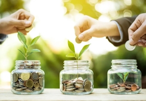 Jujuy: primera provincia argentina con normativa sobre bonos de carbono