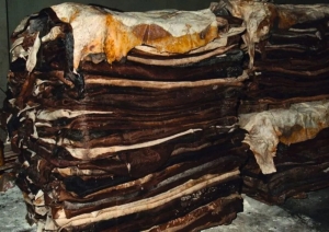 Crisis de los cueros: denuncian impacto ambiental y falta de regulaci&oacute;n