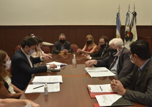 Proponen unificar a martilleros, tasadores y corredores