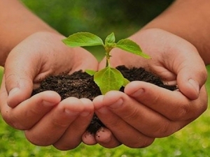 &ldquo;Lo mejor que le puede pasar al pa&iacute;s es revisar el modelo de producci&oacute;n agropecuaria&rdquo;