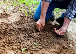 Se constituy&oacute; la Mesa Provincial de lucha contra la desertificaci&oacute;n, sequ&iacute;a y degradaci&oacute;n de los suelos