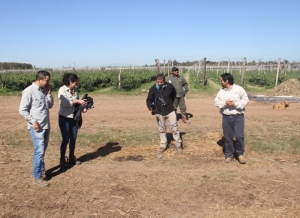 Reutilizaci&oacute;n de materia org&aacute;nica: exitosas experiencias en zonas hort&iacute;colas e ingenios