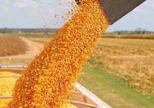 &ldquo;No estoy contra el campo, estoy a favor de la mesa de los argentinos&rdquo;