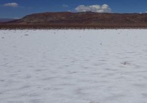 Lithium Americas reiniciará proyecto en Cauchari – Olaroz