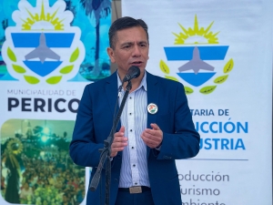 Fuerte apuesta de Antofagasta a la producci&oacute;n juje&ntilde;a