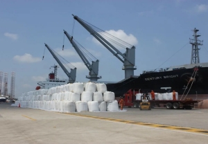 El NOA ya super&oacute; las 500 mil toneladas de az&uacute;car exportadas y acelera la campa&ntilde;a 2025/26