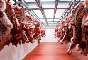 Cerraron las exportaciones de carne vacuna por 30 d&iacute;as