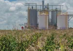 El Gobierno aument&oacute; un 5% el precio del bioetanol de ca&ntilde;a de az&uacute;car y de ma&iacute;z