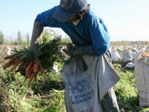 Trabajadores y empleadores rurales, responsables de la alimentaci&oacute;n argentina