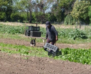 Prestaciones extraordinarias para trabajadores rurales frente a presunta trata de Personas