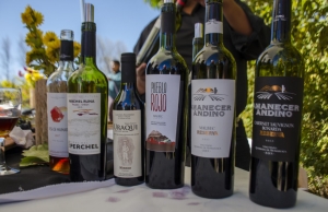 Cr&eacute;ditos y la b&uacute;squeda de una "Ruta del Vino de Altura"