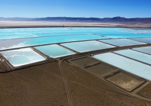 Ponderan la inconstitucionalidad de la ley 10.608