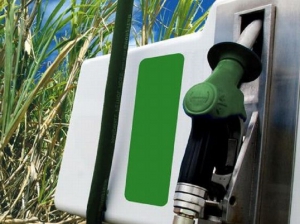 Biocombustibles en foco ante los aumentos de naftas y el an&aacute;lisis legislativo