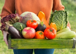 Presentar&aacute;n informe sobre Soberan&iacute;a Alimentaria
