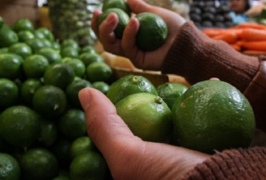 Participación en el producto final: pollos en la cima y limones en brecha crítica