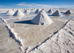 Nuevo emprendimiento: Jujuy &ldquo;puntera&rdquo; en desarrollo industrial del litio